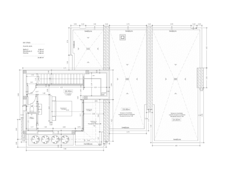 Planta Alta tulipá 11